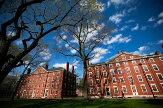 The Harvard Startup Founders Effect in 2025