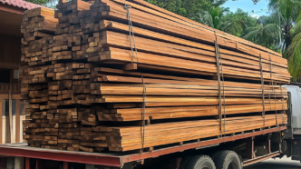InventWood Launches Superwood That Is 10x Stronger Than Steel